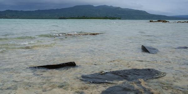네덜란드 연구진 