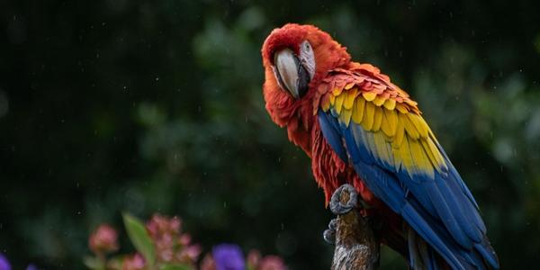 [데스크리포트 3월] '사이드카' 발동 일상 된 증시, '껄무새'가 되지 않으려면