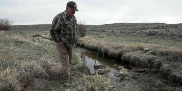 기후변화가 복합 경제위기 불러, '물 부족'에 식량뿐 아니라 투자도 마른다