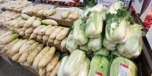 극한 폭염에 세계 식량 생산량 감소 현실로, 대책 강화 '골든타임' 온다