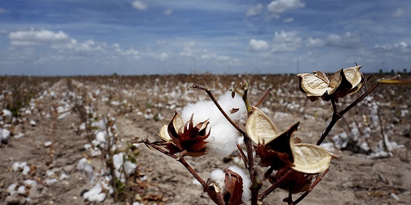 '기후 인플레이션'에 경제 불확실성 더 커진다, 원인과 피해규모 파악 어려워
