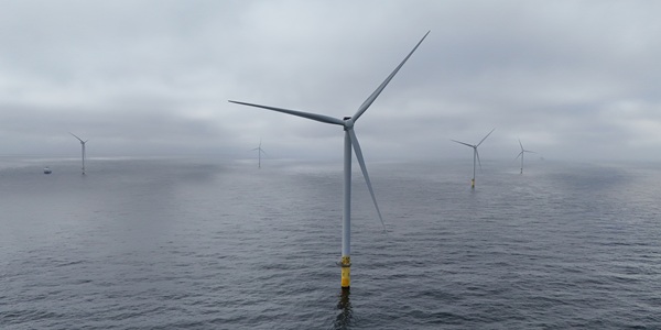 트럼프 정부 재생에너지 억제 정책에 성과 의문, 경제 논리 거스르기 어려워