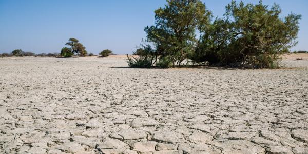 세계은행 '물 위기 해결' 협의체 출범, 4년 동안 10억 명 물 접근성 향상 목적