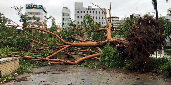 '기후 인플레이션'에 경제 불확실성 더 커진다, 원인과 피해규모 파악 어려워