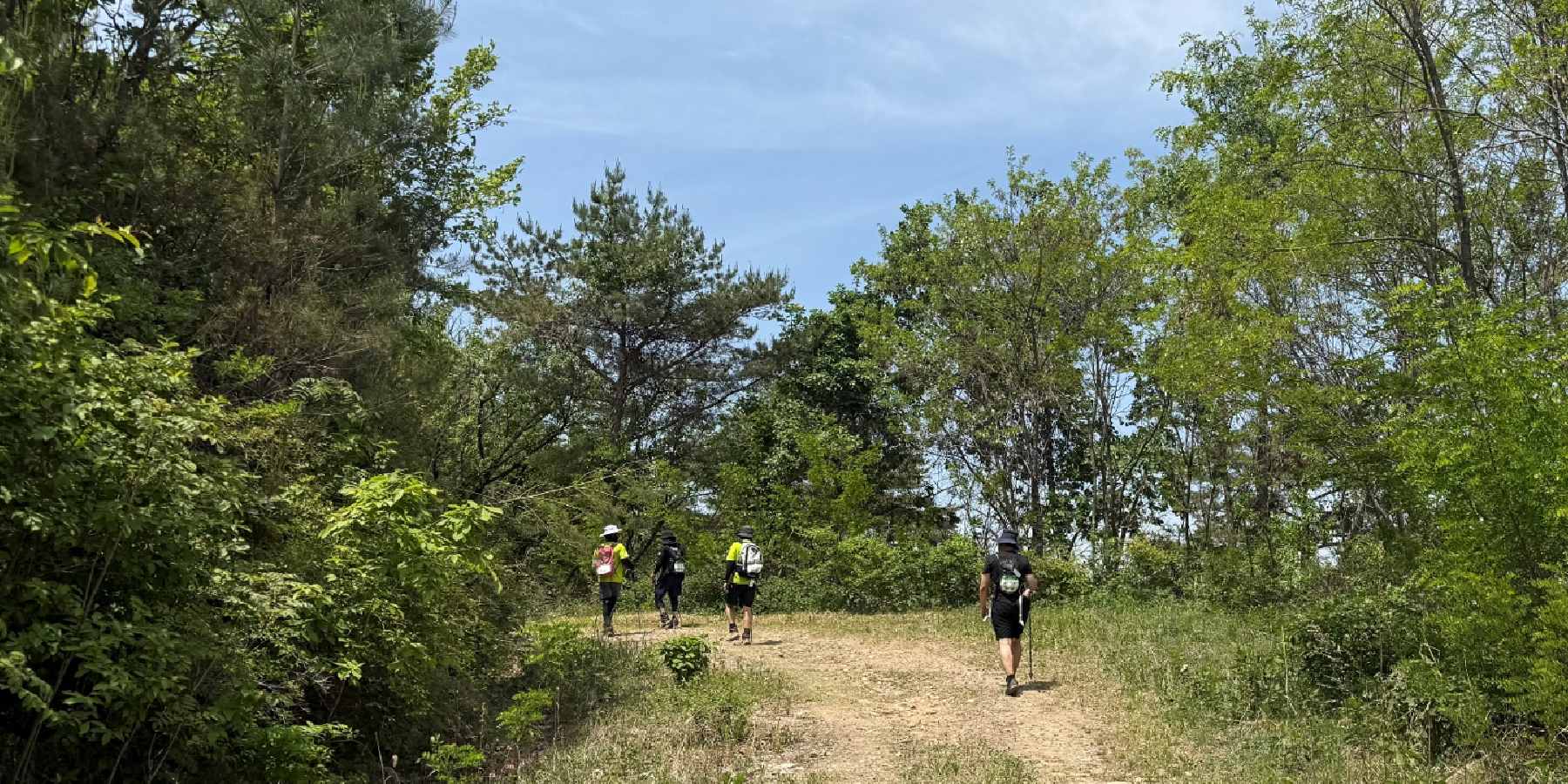 [체험기] 옥스팜 트레일워커 2026, 강원도 인제에서 배우는 100km '낭만완주'