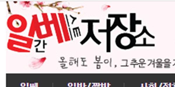 '탱크데이'로 촉발된 일베 폐쇄론, '혐오 표현 처벌 입법' 현실화 가능성 높아져