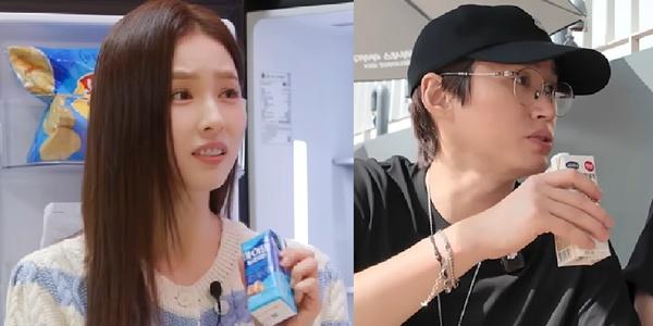 단백질 음료 홍수에 소비자 결정장애 걸릴 판, 신세경 타블로 셀럽들 '찐템'은?