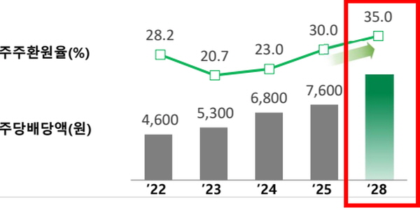 DB손해보험 자본확충 핵심은 양보다 질, <a href='https://www.businesspost.co.kr/BP?command=article_view&num=384879' class='human_link' style='text-decoration:underline' target='_blank'>정종표</a> '포테그라 인수' 주주 우려 지운다