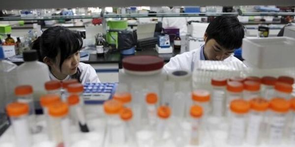 중국 신약 개발 역량 미국 턱밑 추격, 삼성에피스홀딩스 중국 진출로 사업 기회 확대 엿본다