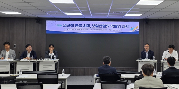 [현장] 보험연구원 "생산적금융 보험사 역할은 '장기 자금 공급자', 지급여력제도 개선 병행돼야"