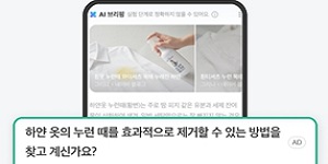 네이버·카카오 하반기 'AI 수익화' 경쟁, 수익성 두고 시장 의구심은 여전