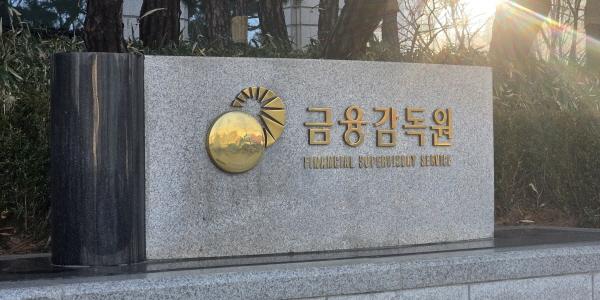 금감원 