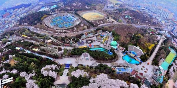 이월드 주가 장중 상한가, 5대1 주식병합 추진에 상장폐지 우려 축소