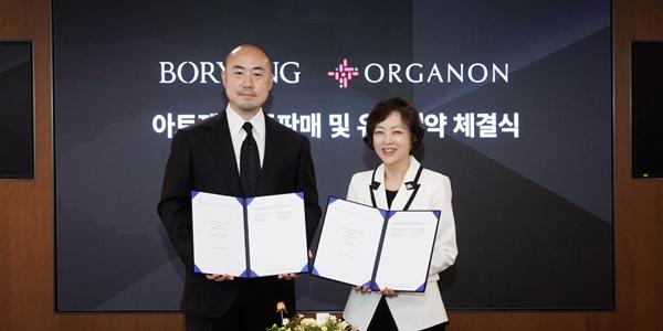 보령, 한국오가논과 이상지질혈증 치료제 '아토젯' 공동 영업·마케팅하기로