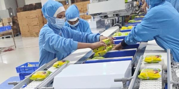 오리온 한국·베트남·인도 카스타드 생산라인 증설, 글로벌 생산능력 매출 3천억 규모